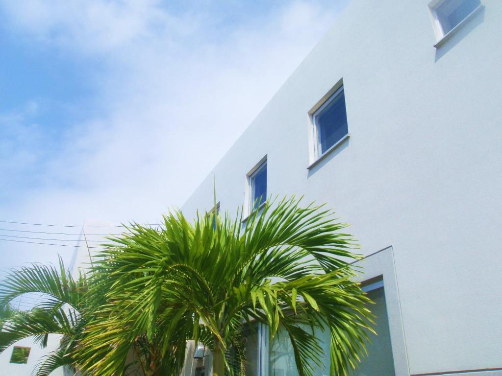 The Green Terrace Aparthotel Miyakojima  Kültér fotó